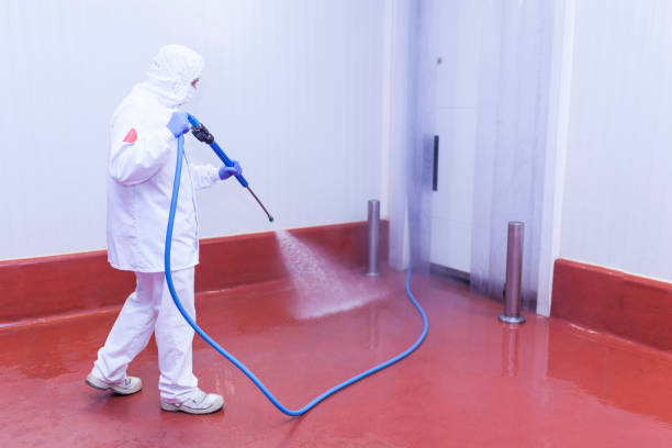 Best Building Exterior Washing  in Four Corners, TX